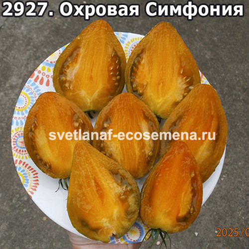 Охровая Симфония
