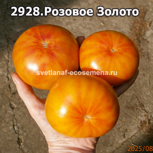 Розовое Золото
