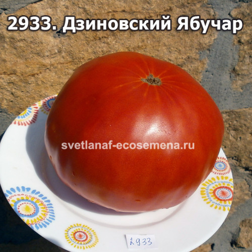 Дзиновский Ябучар