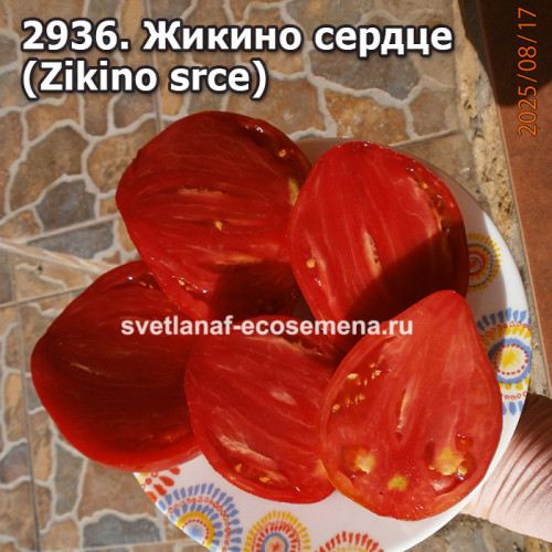Жикино сердце (Zikino srce)