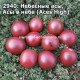 Небесные асы, Асы в небе (Aces High) 