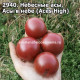Небесные асы, Асы в небе (Aces High) 