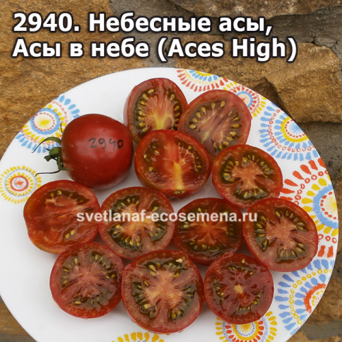 Небесные асы, Асы в небе (Aces High) 