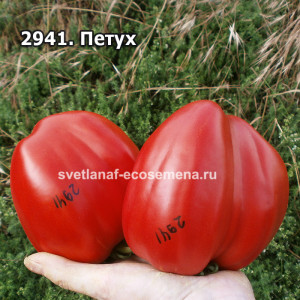 Петух