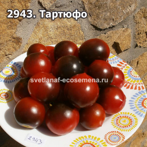 Тартюфо  (Tartufo)