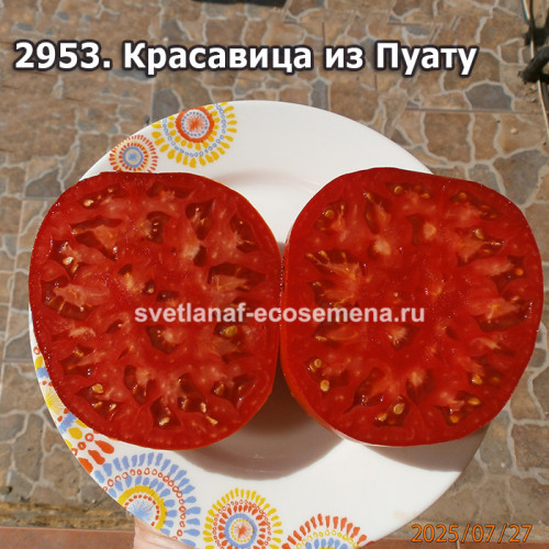 Красавица из Пуату (Belle du Poitou)