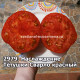 Наслаждение Тётушки Сварло красный