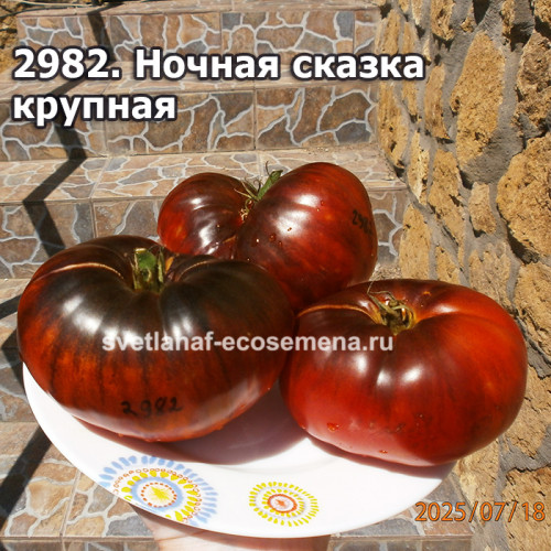 Ночная сказка крупная