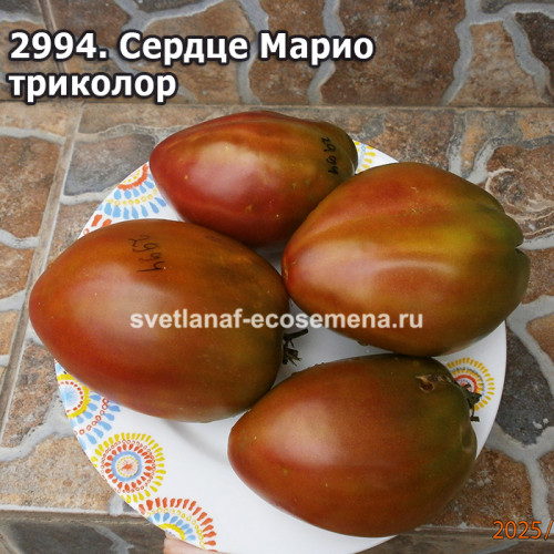 Сердце Марио  триколор