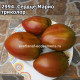 Сердце Марио  триколор