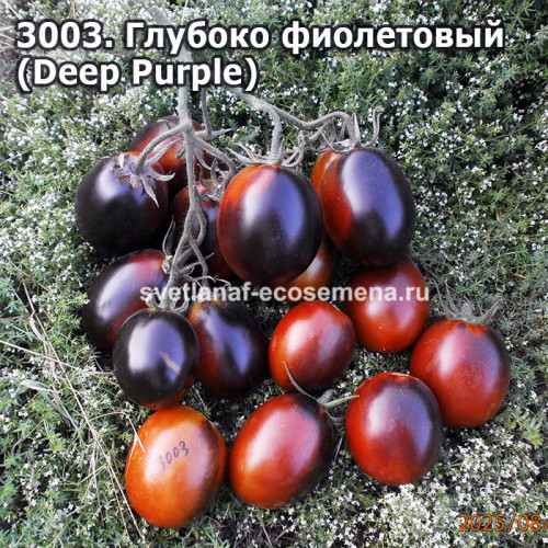 Глубоко фиолетовый  (Deep Purple)