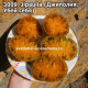 Джиполия (Jipaulia, Убей себя, Джипаулия)