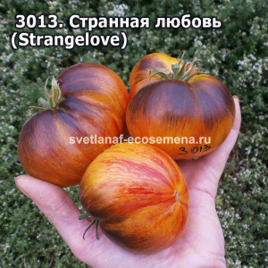 Странная любовь  (Strangelove)