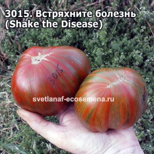 Встряхните болезнь (Shake the Disease, Возлюби болезнь)