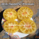 Прелесть (Precious, Драгоценный)