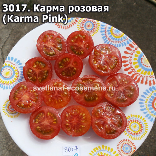 Карма розовая (Karma Pink)