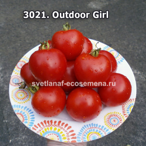 Девушка на природе (Outdoor Girl) 