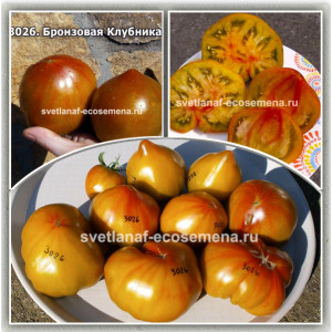 Бронзовая Клубника