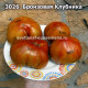 Бронзовая Клубника