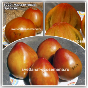 Малахитовая Органза