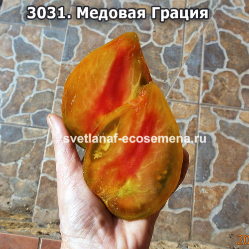 Медовая Грация