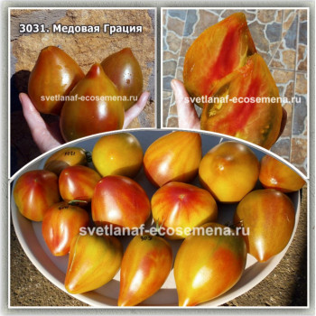 Медовая Грация