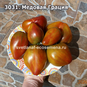 Медовая Грация