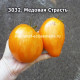 Медовая Страсть