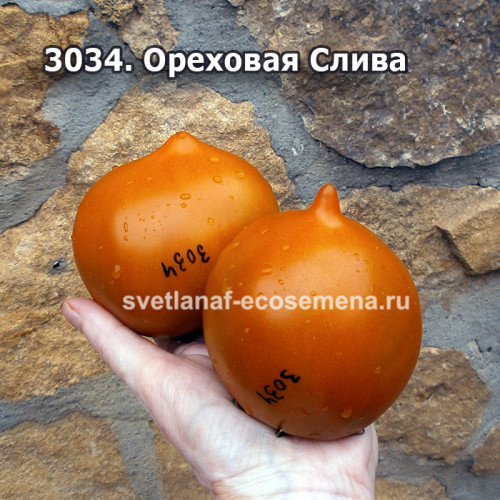 Ореховая Слива