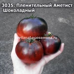 Пленительный Аметист Шоколадный