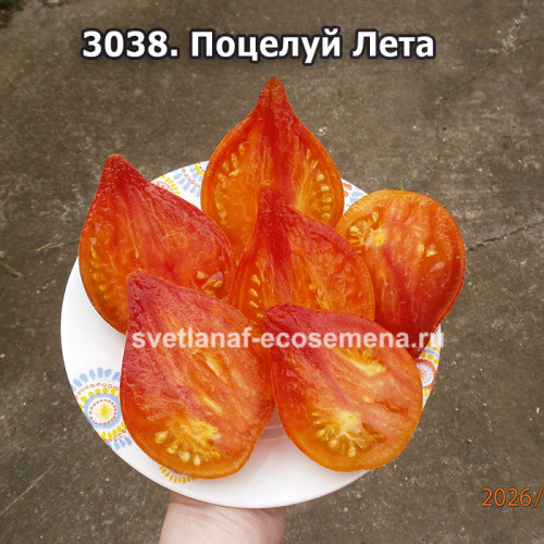 Поцелуй Лета