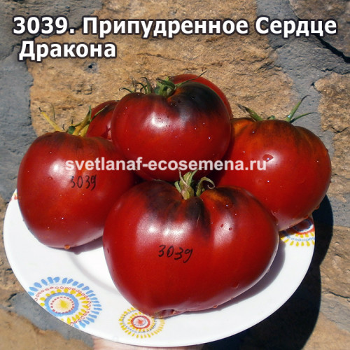 Припудренное Сердце Дракона