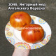 Янтарный мед Алтайского Вереска