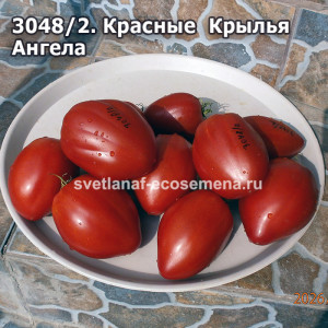 Красные  Крылья  Ангела