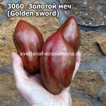 Золотой меч (Golden sword)