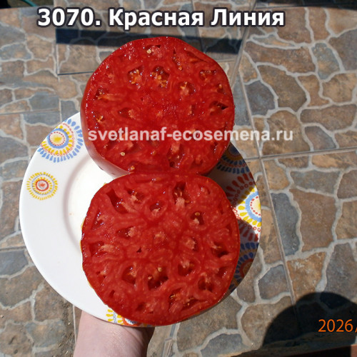 Красная Линия (Linea Rossa)