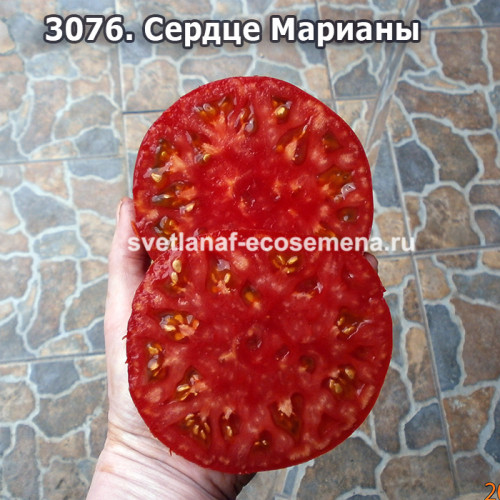 Сердце Марианы (Marianas Heart)