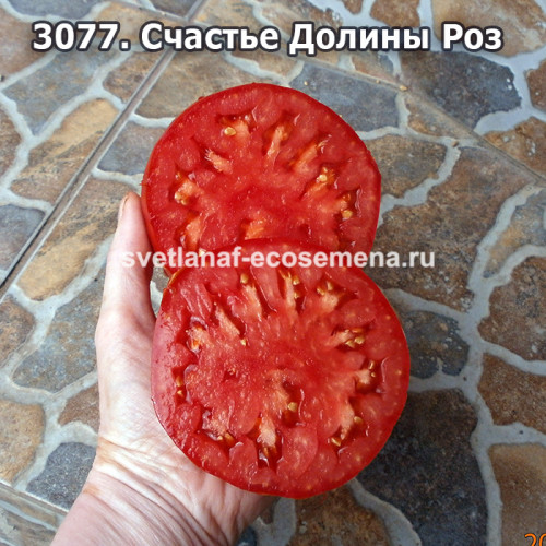 Счастье Долины Роз