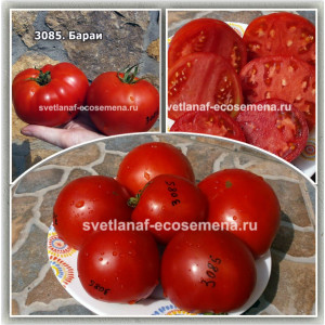 Barai (Бараи)