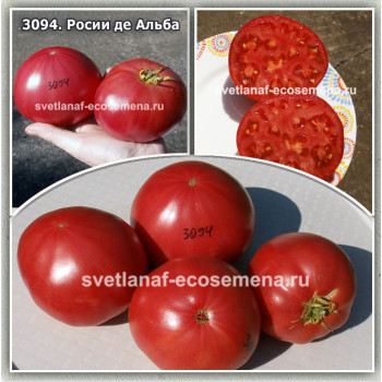 Росии де Альба (Rosii de Alba)