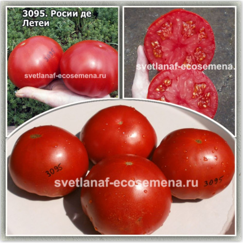 Росси де Летеа (Rosii de Letea)