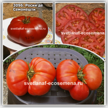 Росии де Семонешти (Rosii de Simionesti)