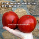 Большие квадратные от Умриловой