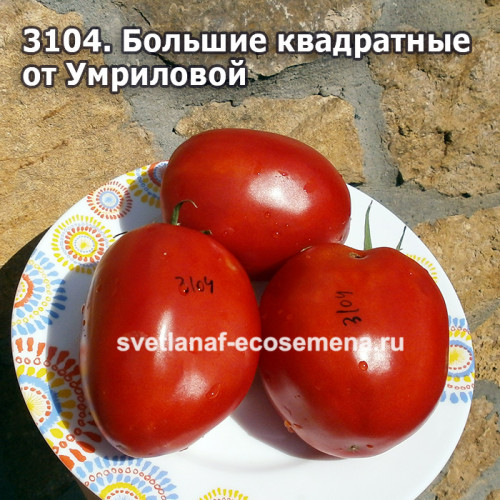 Большие квадратные от Умриловой