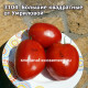 Большие квадратные от Умриловой