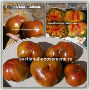 Восторг Людмилы