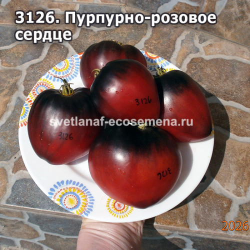 Пурпурно-розовое сердце