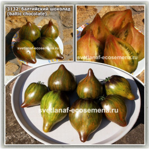 Балтийский шоколад (Baltic chocolate)
