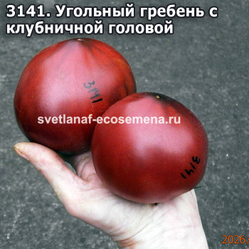 Угольный гребень с клубничной головой
