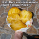 Мост над неспокойной водой х Сердце Марши (Bridge over Troubled Water х Marsha's Heart)